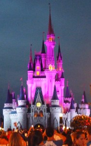 Castelo da Cinderela- Magic Kingd