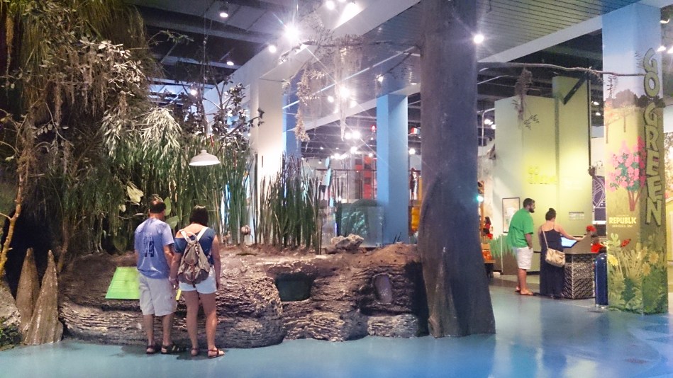 Museum of Discovery and Science