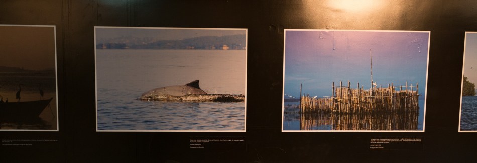 Quadros da exposição