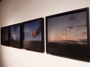 Pedro Motta- Combustão Espontânea