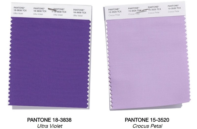 WhatsApp Image 2018-04-18 at 22.23.50 (3) (1)