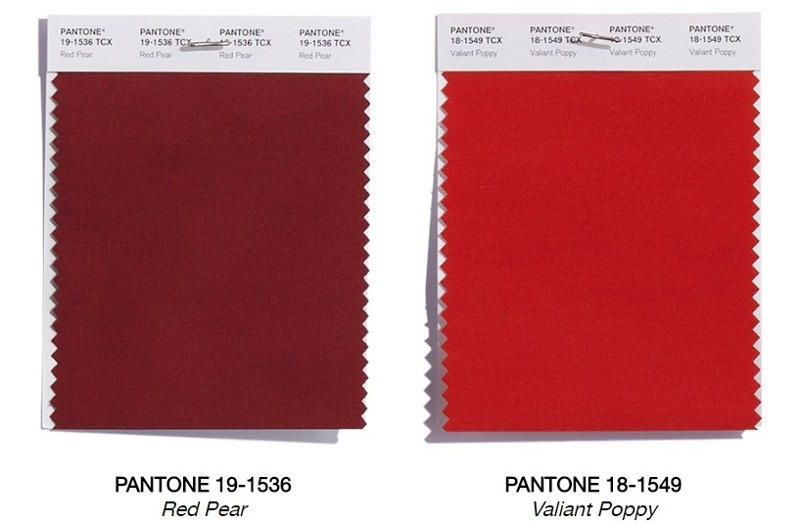 WhatsApp Image 2018-04-18 at 22.23.50