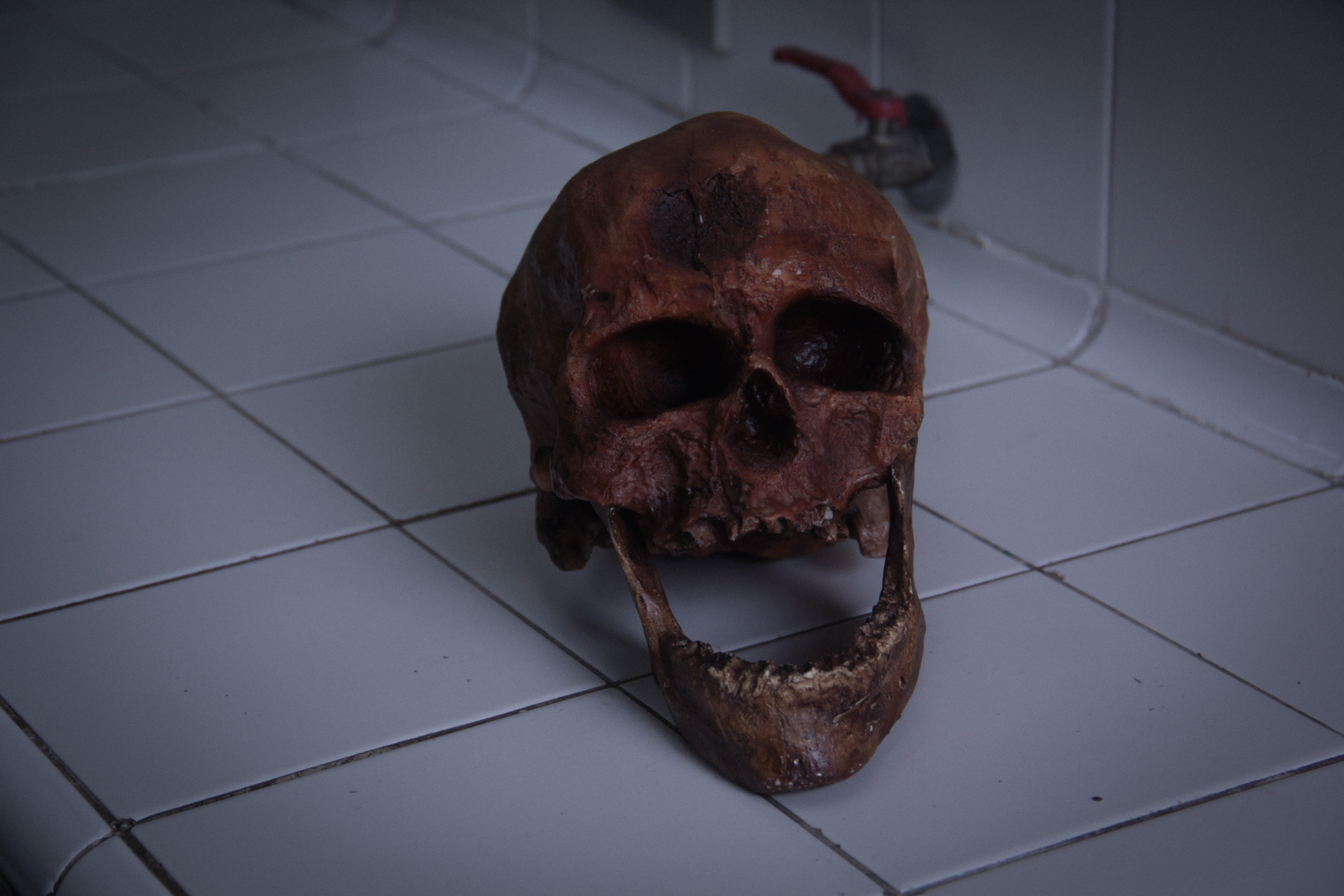 O atributo alt desta imagem está vazio. O nome do arquivo é img_0809.jpg