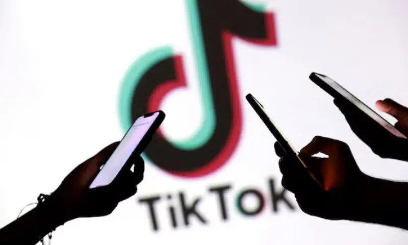 TikTok Reshapes How Generation Z Searches for Information and Influences Their Behavior